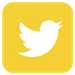 Twitter icon, YDC yellow