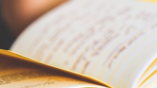 Woman reading a notebook